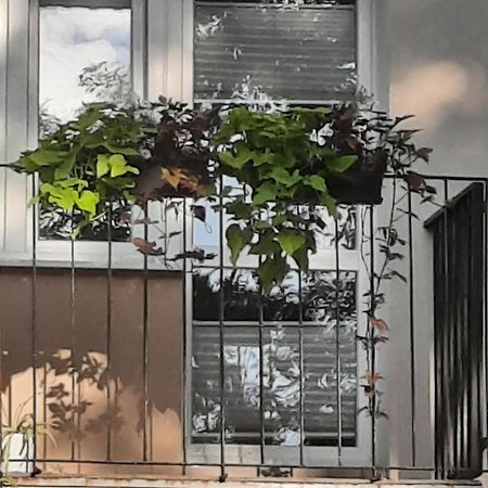 Apartament Jak W Domu Zamość Exterior foto