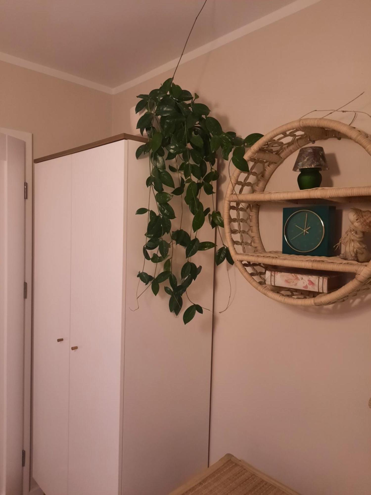 Apartament Jak W Domu Zamość Exterior foto